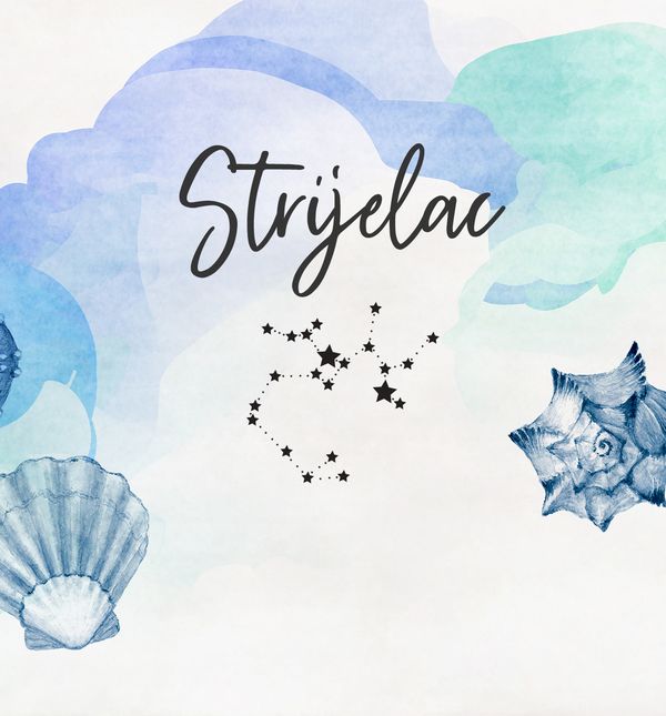 Što strijelce čeka u srpnju?