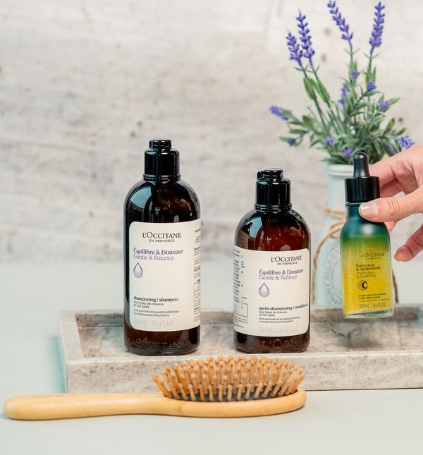 Loccitane proizvodi za kosu