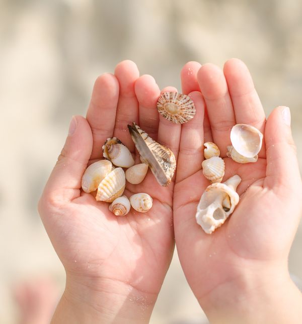 Prodaja školjaka na plaži uči djecu o novcu i korisna je stvar