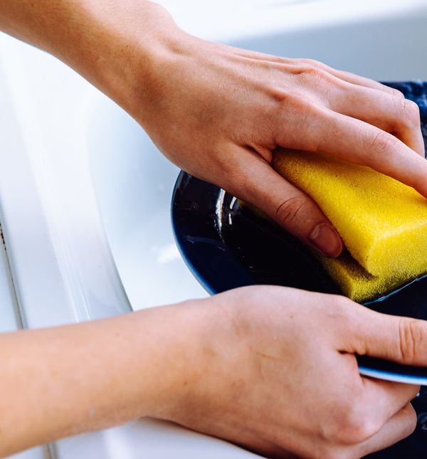 Spužvica za pranje suđa