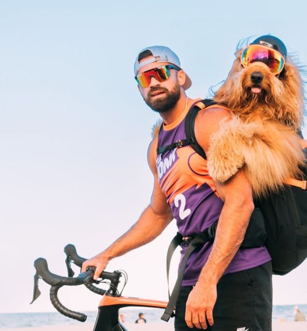 Ogroman goldendoodle Brodie ima 1,8 milijuna pratitelja na Instagramu