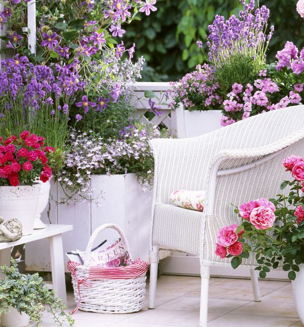 Balkon pun cvijeća moguć je i tijekom ljetnih vrućina