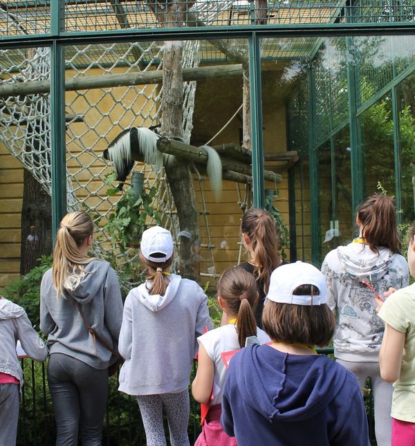 Tijekom ljetnih školskih praznika u Zoološkom vrtu Grada Zagreba održava se Divlje ljeto