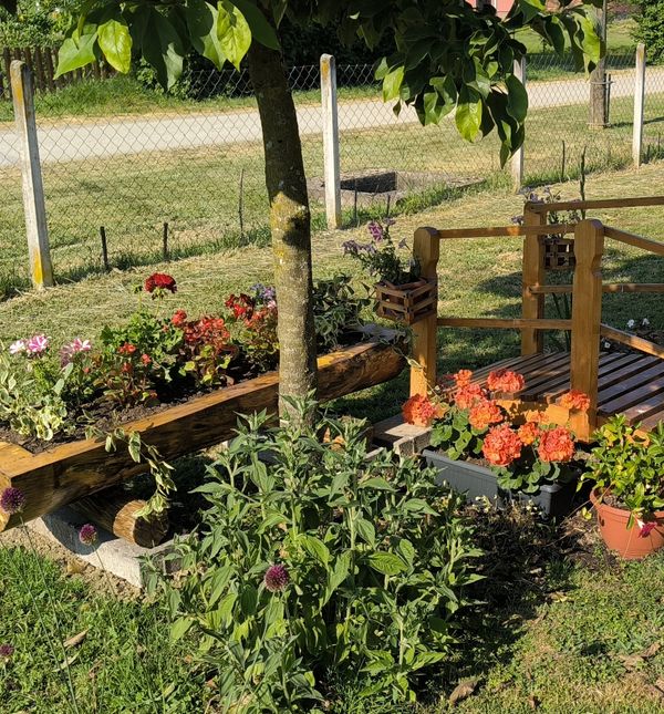 Supružnici Davor i Barbara Gregčević u svom dvorištu uredili su grobek s cvijećem za svoje bivše peseke