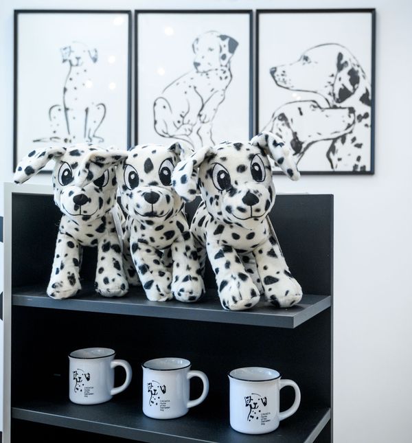 Kuća dalmatinskog psa otvorena je u Šibeniku