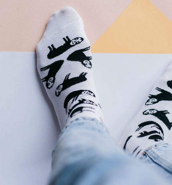 Sokne s ljenjivcima nastale u suradnji tvrtke Jadran Čarape i Sugar Ants