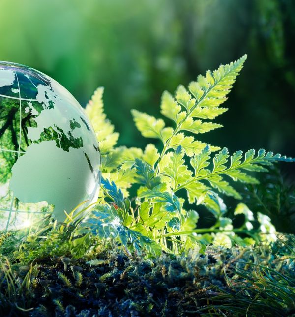 U hrvatskim se školama problemu očuvanja prirode i posljedično klimatskim promjenama posvećuje nedovoljno pažnje