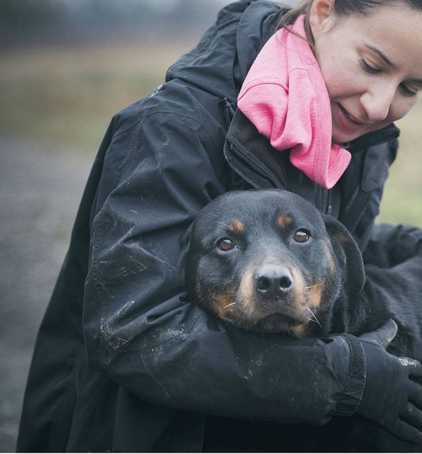 Rotvajlerica Jana u svoje tri godine života prošla je mnogo i sada traži novi dom