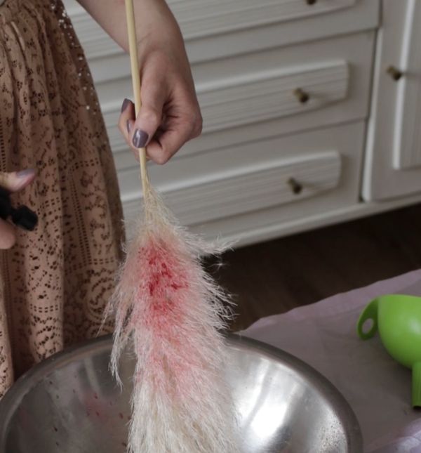 Bojenje pampasa sa sastojcima iz hladnjaka - 2