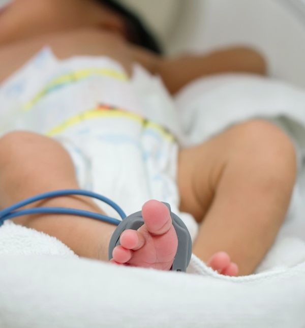 Vratimo palčiće u Petrovu