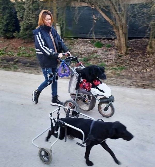 Leteći odred iz osječkog azila - 8