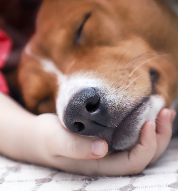 Jedan od načina na koji mala djeca mogu izraziti svoju tugu je kroz igru