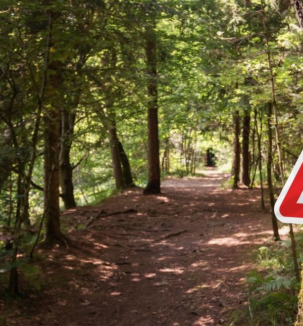 Prije odlaska u prirodu potrebno je namazati se specijaliziranim sredstvima protiv krpelja