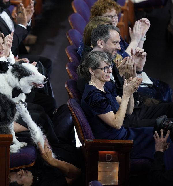 Pas Messi iz filma 'Anatomija pada' dobitnik je Palm Dog nagrade koja se dodjeljuje iznimnim filmskim psećim ostvarenjima