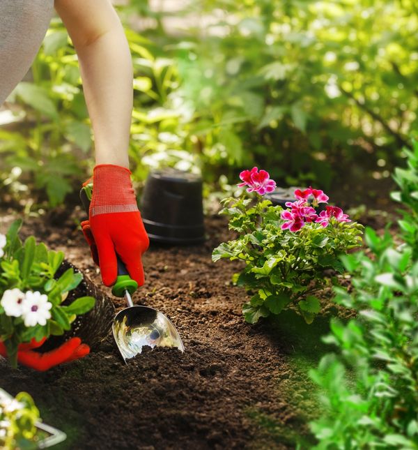 U Botaničkom ćete se vrtu moći opskrbiti novim bijkama