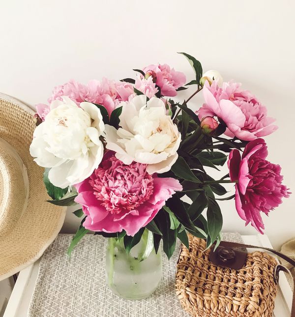 Dodavanjem cvijeća u kuhinju, dnevnu sobu ili na radni stol uvelike možete promijeniti izgled prostorije