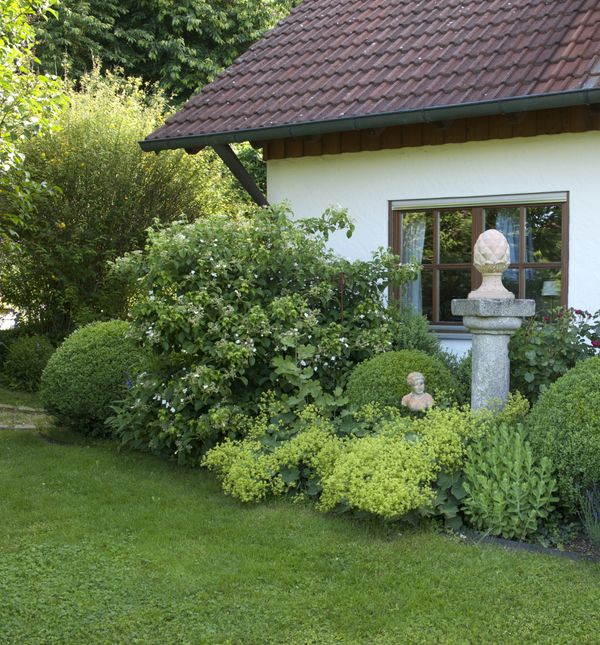 Sanjivo dvorište s ružama i puno zelenila