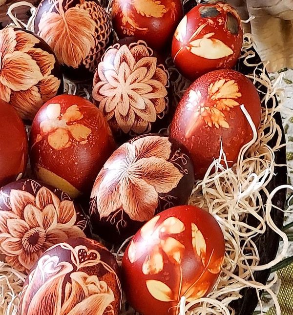 Divne pisanice čitateljice Klaudije Malatestinić