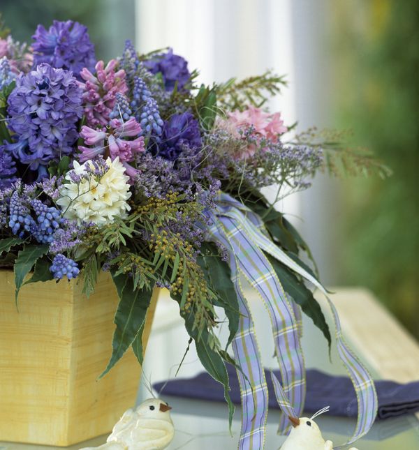 Zumbuli su najčešće ljubičaste boje