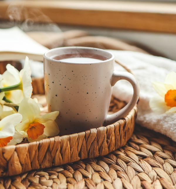 Što vam ovog tjedna donose zvijezde?