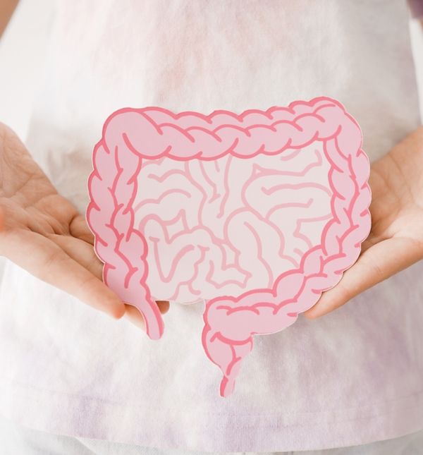 Zdrava crijeva sastoje se od različitih vrsta bakterija kod različitih ljudi i ta različitost omogućuje da se osjećamo dobro