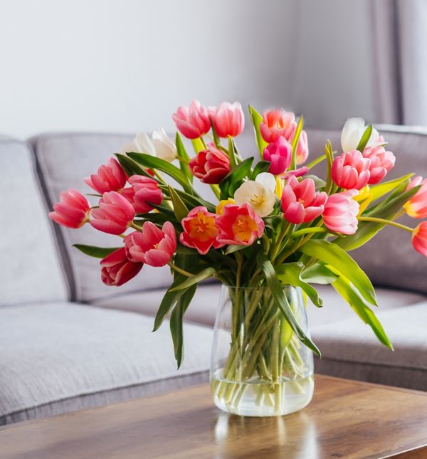 Tulipani u vazi