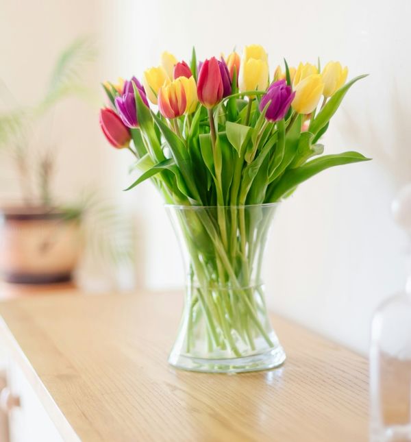 Tulipani u vazi