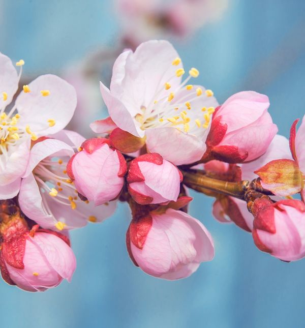 Proljeće će nekim znakovima donijeti osvježenje u životu