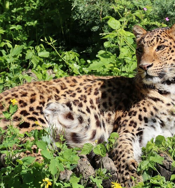 Školarce tijekom uskrsnih praznika očekuje Zoo avantura