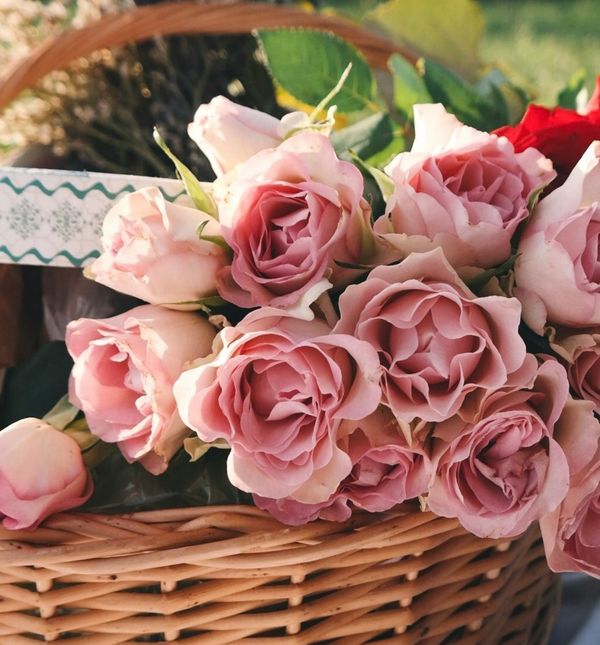 Cvijeće u košari