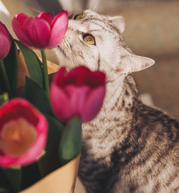 Travanj donosi prilike za promjene