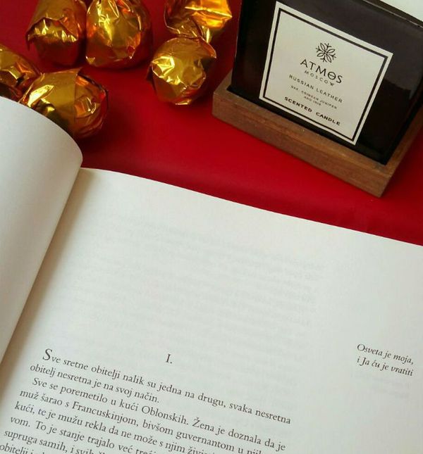 Pretpostavlja se da je lik Ane Karenjine inspiriran Marijom Hartung, kćerkom ruskog pjesnika Aleksandra Puškina