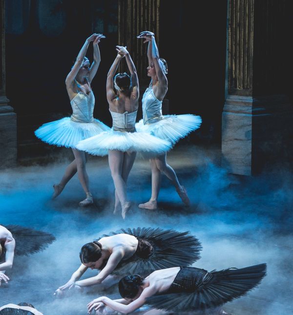 Labuđe jezero prvi je balet koji je skladao Petar Iljič Čajkovski