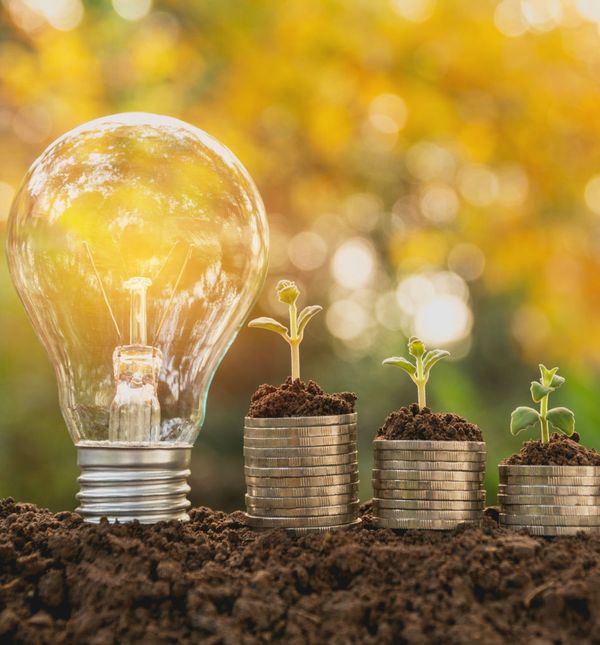 Žarulja kao simbol pameti i inteligencije