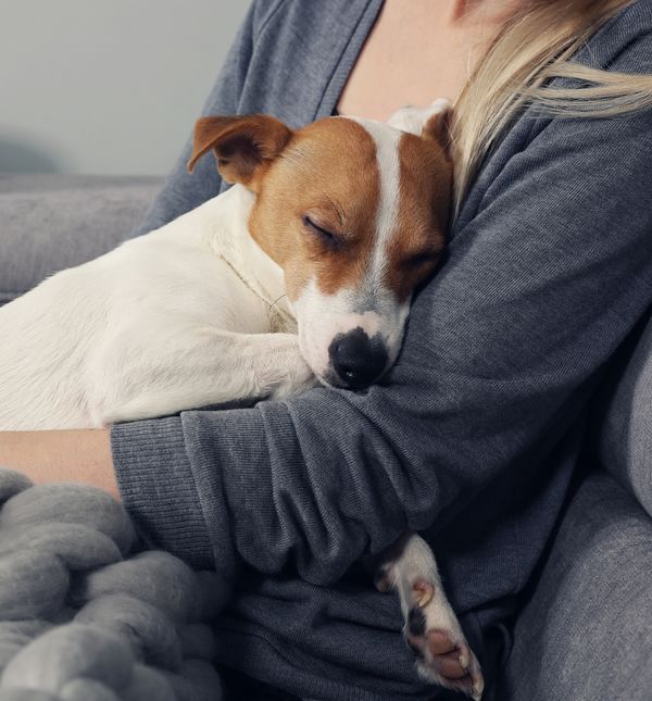 Sreću čine svakodnevne sitnice