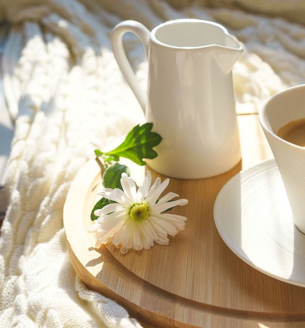 Viša razina želučane kiseline, koja nastaje zahvaljujući klorogenoj kiselini iz kave, aktivira rad probavnog trakta