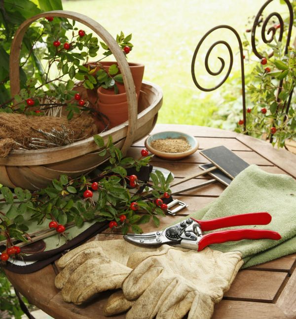 Vrtlari imaju manju razinu hormona stresa, bolje spavaju i dobrog su mentalnog zdravlja