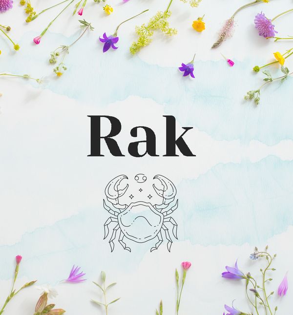 Rak