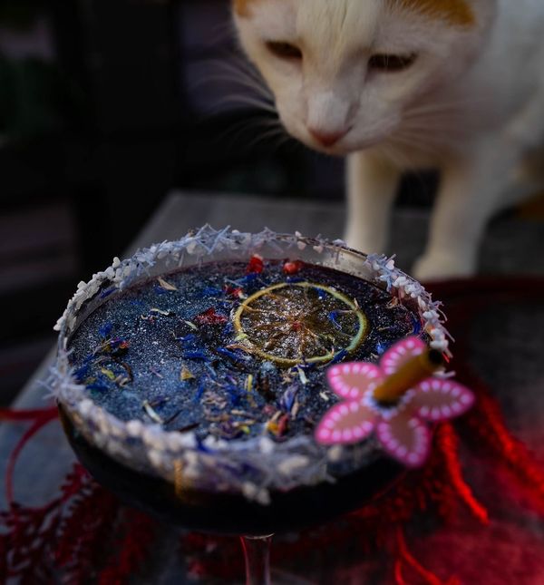 Stranger Things ponuda u Cat Caffeu