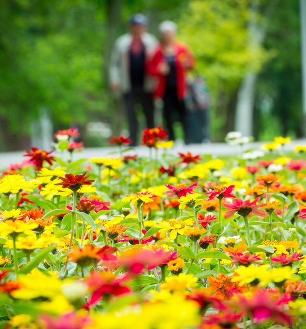 Floraart na Bundek stiže već sutra