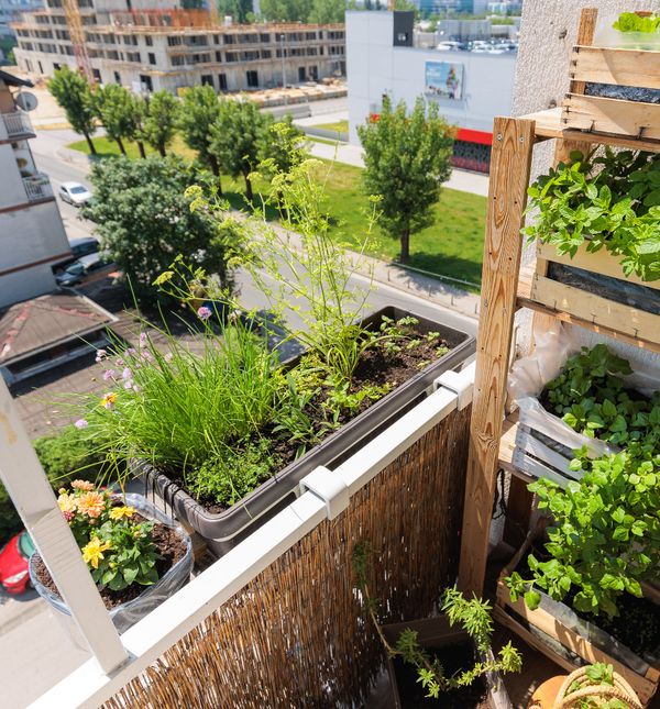 Ivana Marketin iz Zagreba svoj balkon veličine uredskog stola pretvorila je u malu zelenu oazu