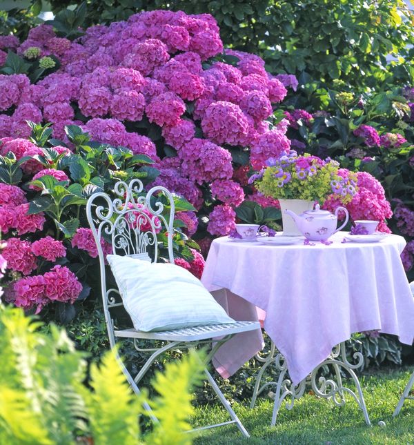 Prekrasni vrtovi s hortenzijama - 9