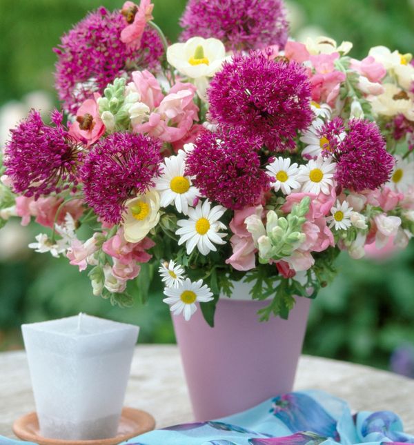 Ukrasni luk zanemarena je biljka koja privlači poglede u vrt