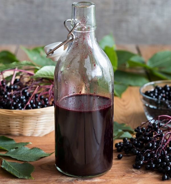 Sirup od bobica bazge