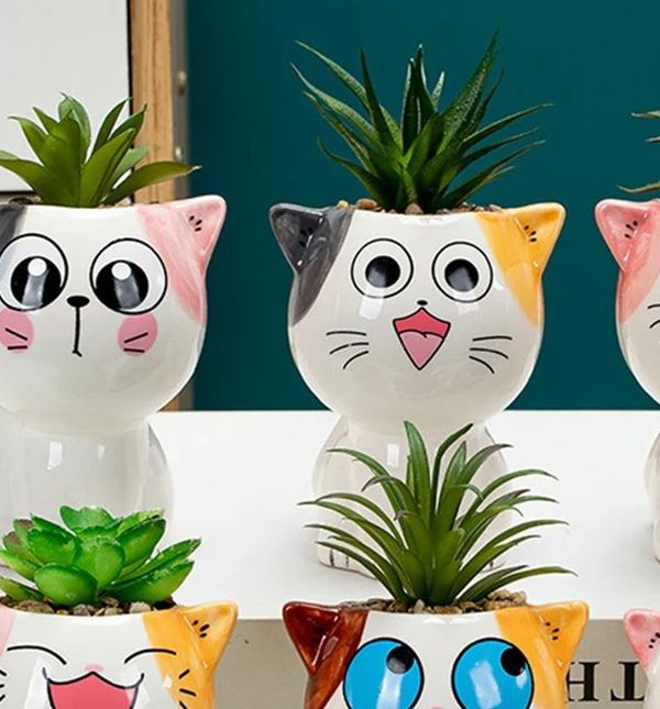 Vaze za sukulente u obliku mace