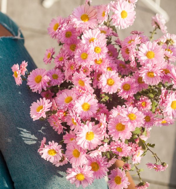 Tjedni horoskop od 20. do 27. svibnja