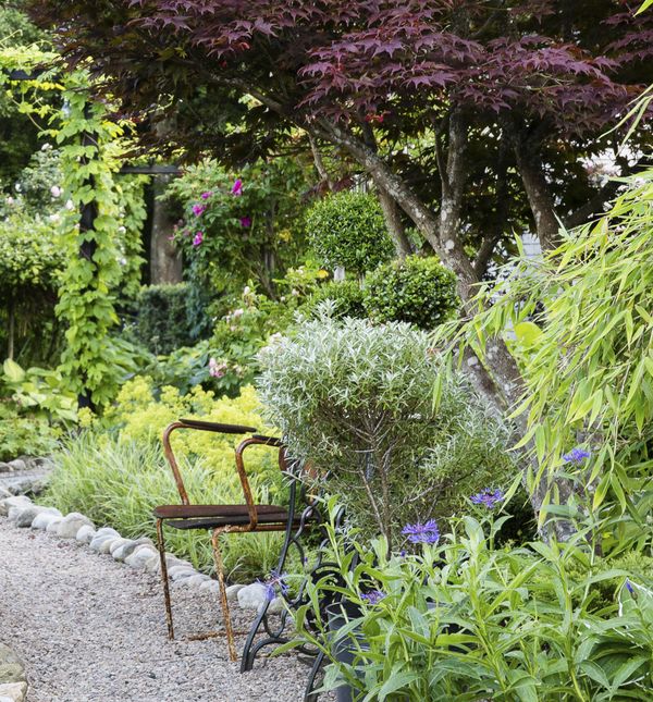 Dvorište puno zelenila u kojem bismo se voljeli izgubiti