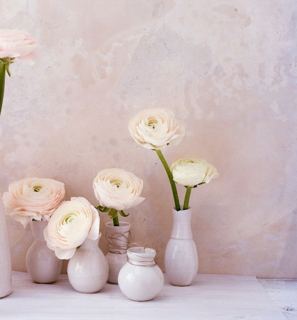 Ranunkula kao predivan ukras doma