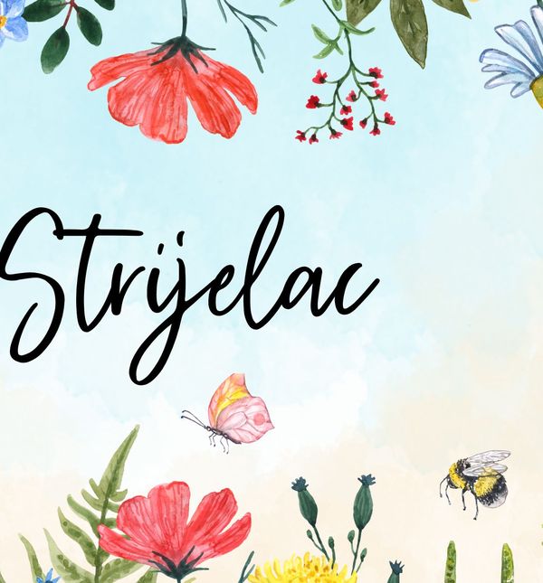 Tjedni horoskop za lipanj - 12