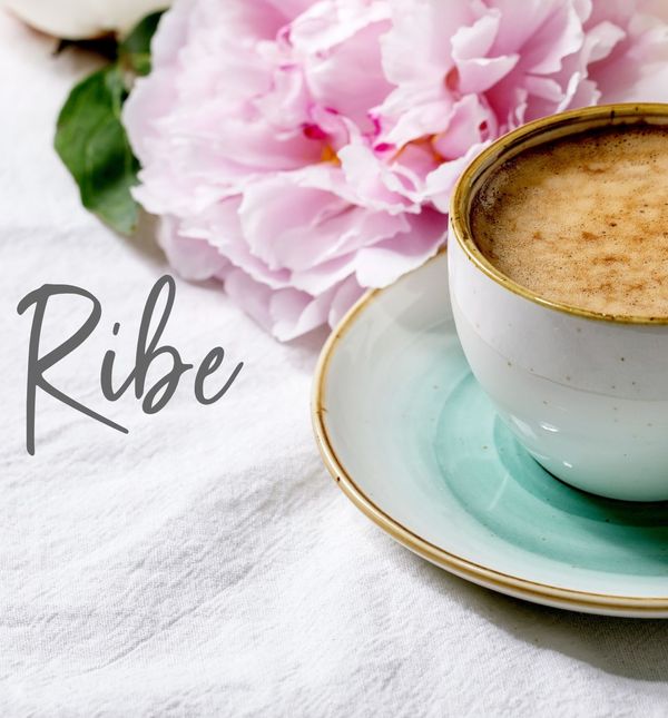 Mjesečni horoskop za lipanj